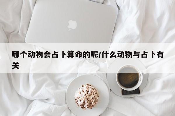 哪个动物会占卜算命的呢/什么动物与占卜有关