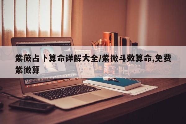 紫薇占卜算命详解大全/紫微斗数算命,免费紫微算