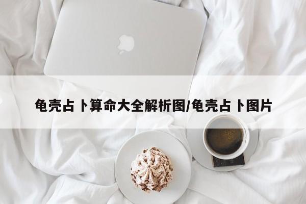 龟壳占卜算命大全解析图/龟壳占卜图片