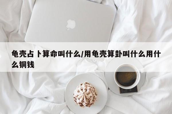龟壳占卜算命叫什么/用龟壳算卦叫什么用什么铜钱