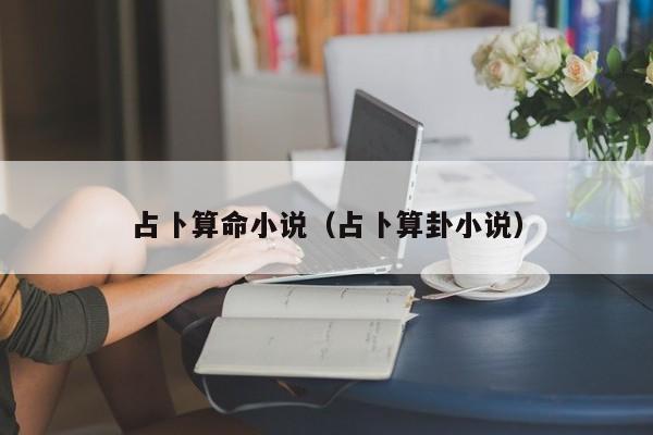 占卜算命小说（占卜算卦小说）
