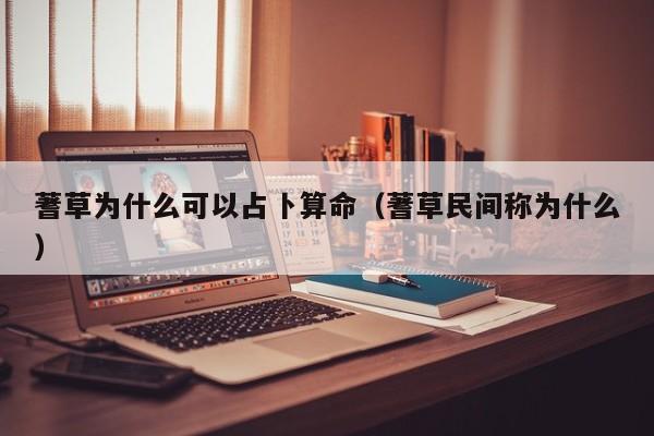 蓍草为什么可以占卜算命（蓍草民间称为什么）