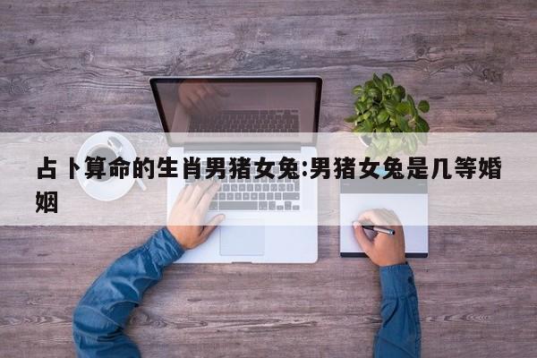 占卜算命的生肖男猪女兔:男猪女兔是几等婚姻