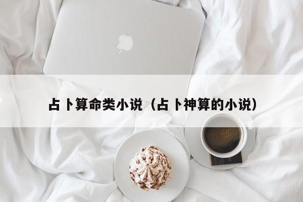占卜算命类小说（占卜神算的小说）